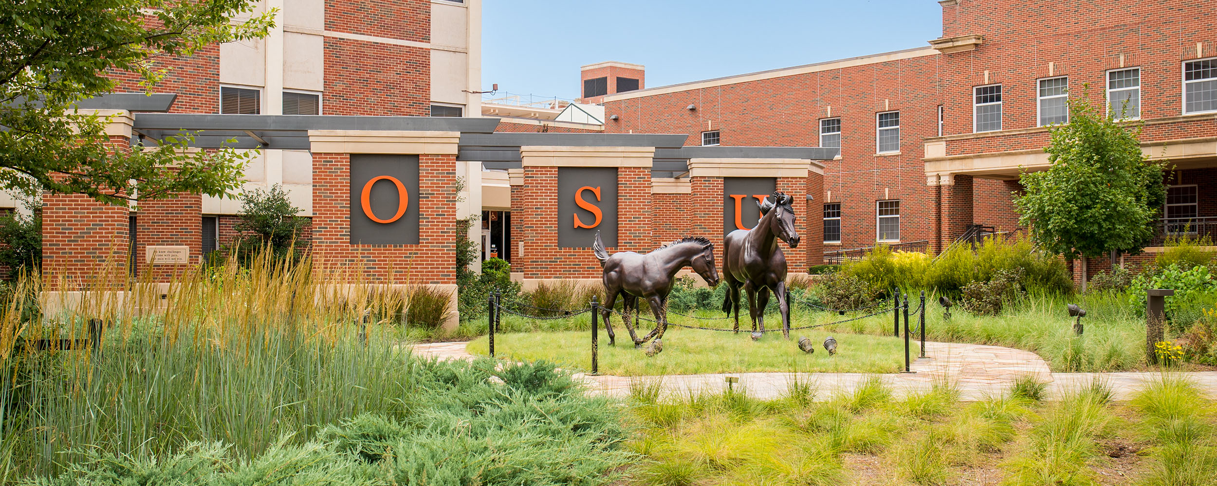 Horse Statues on Campus