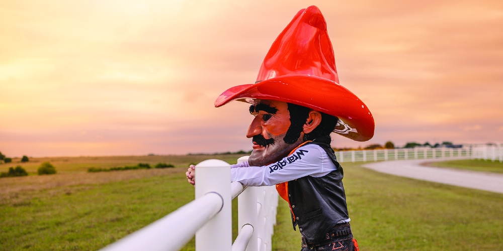 Goal-7-100.jpg Pete looks over white pipe fence into pastures at sunset