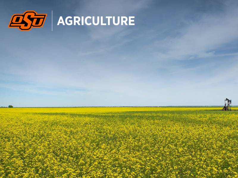 Agriculture Zoom Background 2