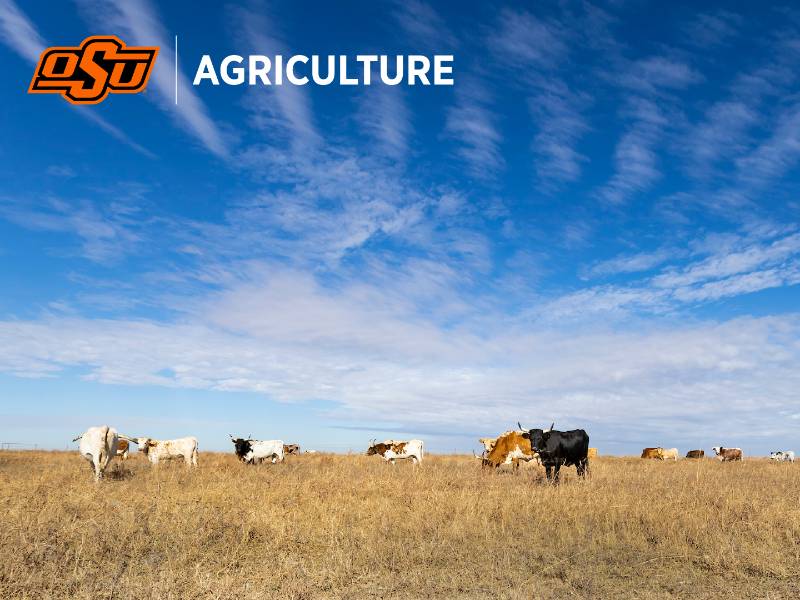 Agriculture Zoom Background 3