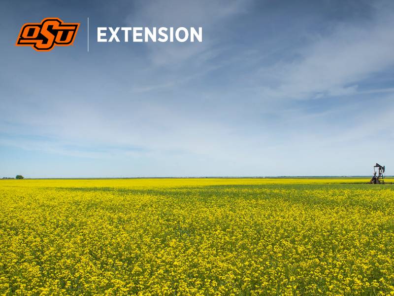 Extension Zoom Background