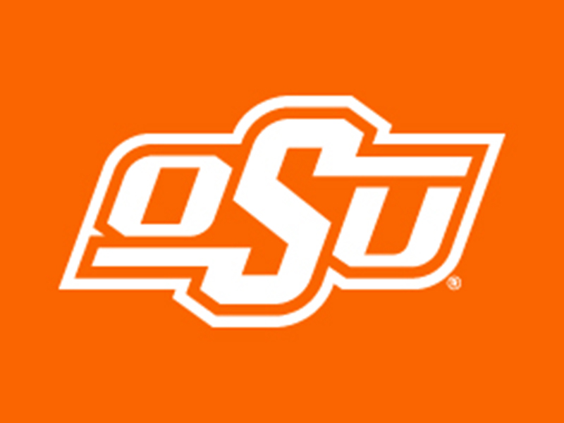 standard logo, white logo with orange background