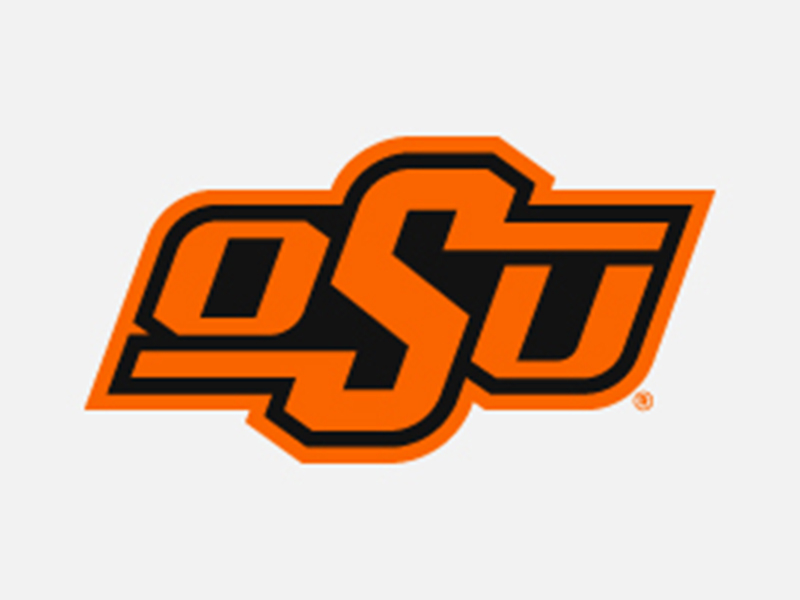 standard logo, orange and black logo with white background