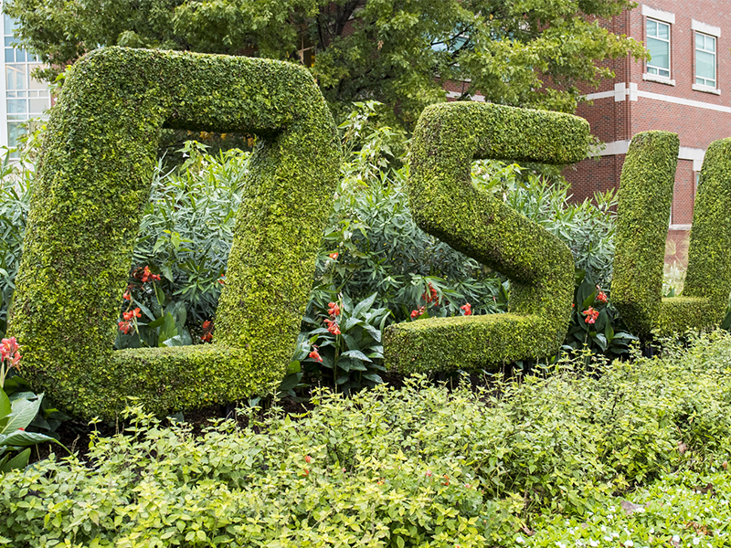 OSU bush garder
