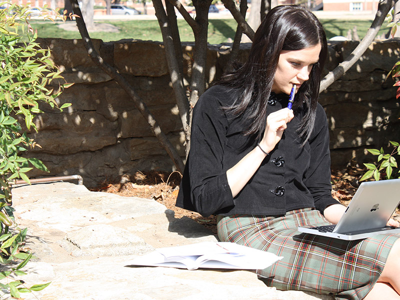 This is alt text for the image