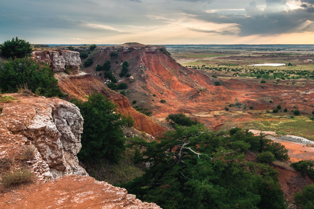 find phd geology