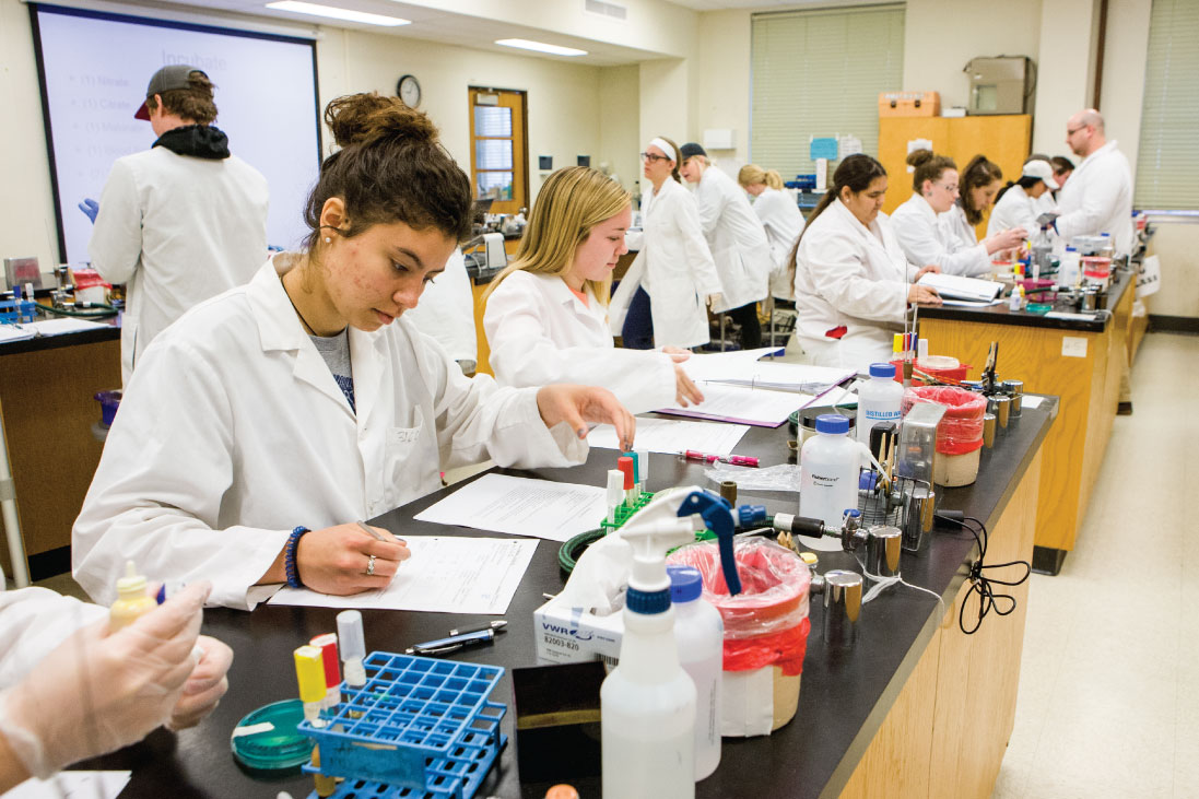 molecular biology phd programs usa