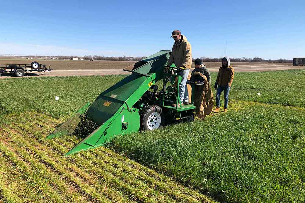 Plant and Soil Sciences, MS  Oklahoma State University