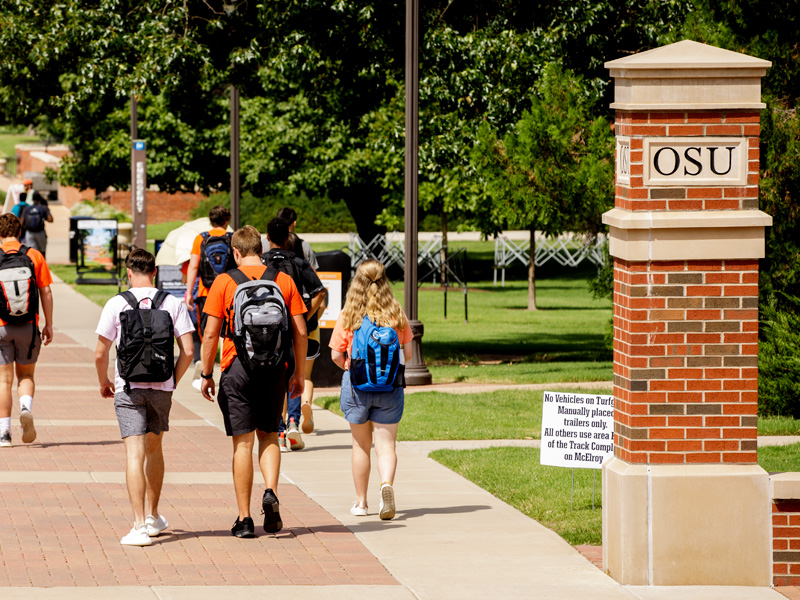 oklahoma state vet school requirements