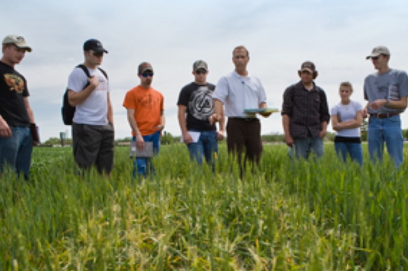 Students talking to professor in field