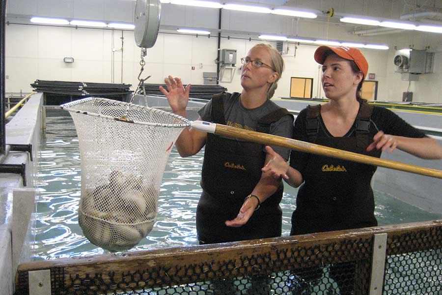 Classroom Lessons  School of Aquatic and Fishery Sciences