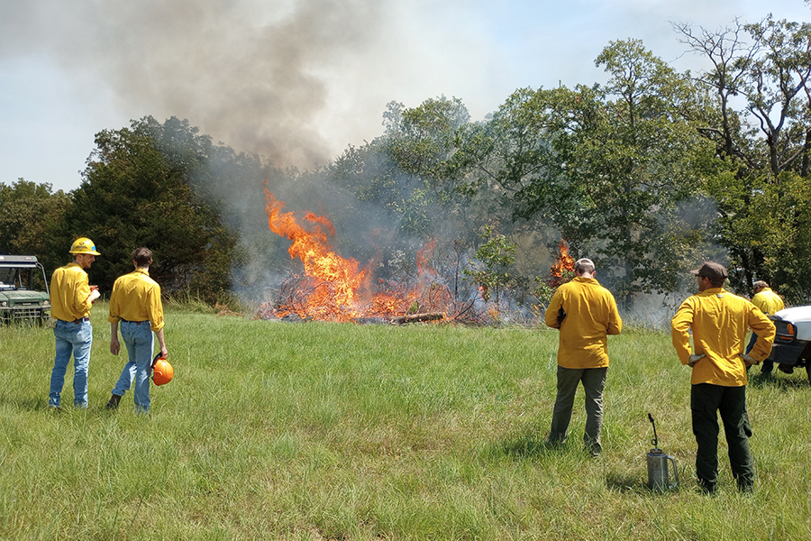 NREM Major Page Image