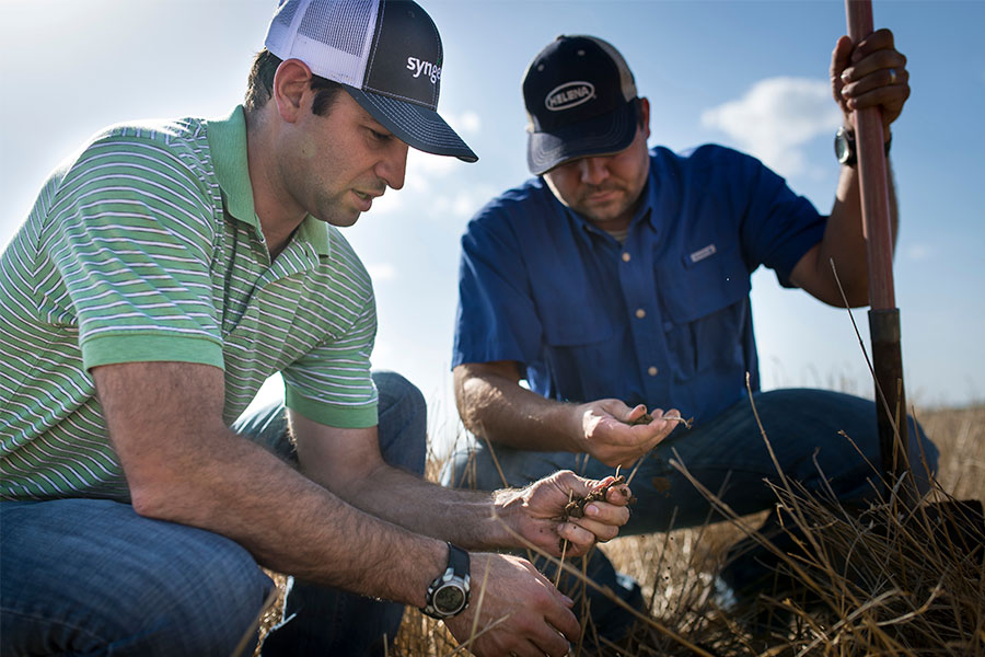 agronomic-business-option-oklahoma-state-university